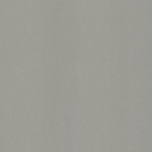 GẠCH TAICERA G49001