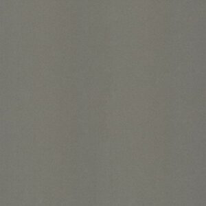 GẠCH TAICERA G49002